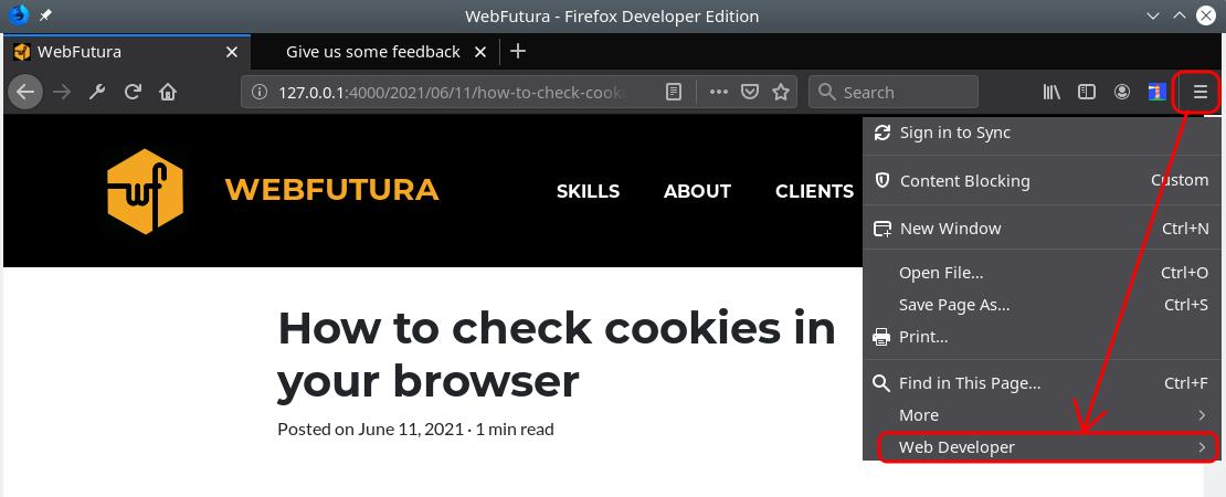 Cookies on Firefox